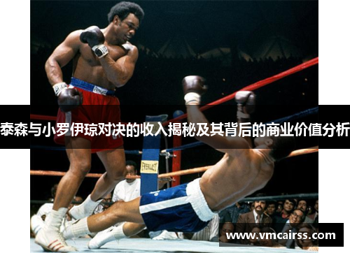泰森与小罗伊琼对决的收入揭秘及其背后的商业价值分析