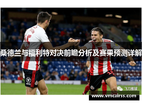 桑德兰与福利特对决前瞻分析及赛果预测详解